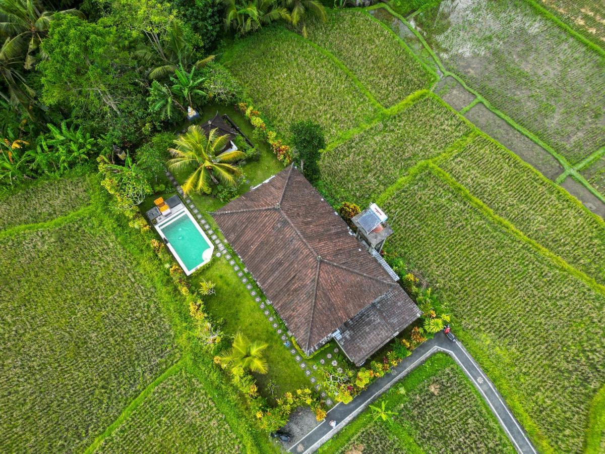 Buddha Homestay Убуд Екстериор снимка