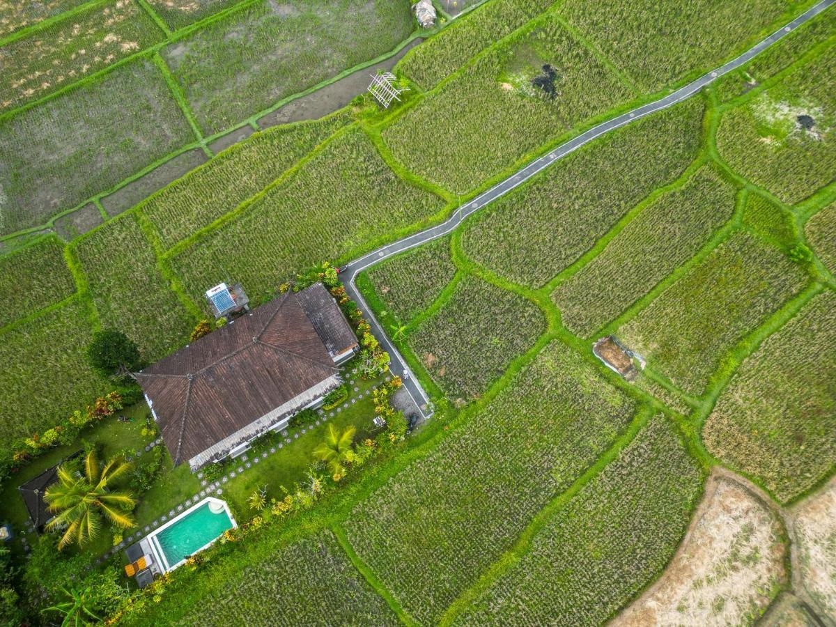 Buddha Homestay Убуд Екстериор снимка